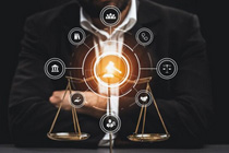 Tailored Legal Strategy