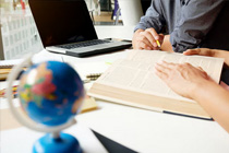 Multilingual Legal Support